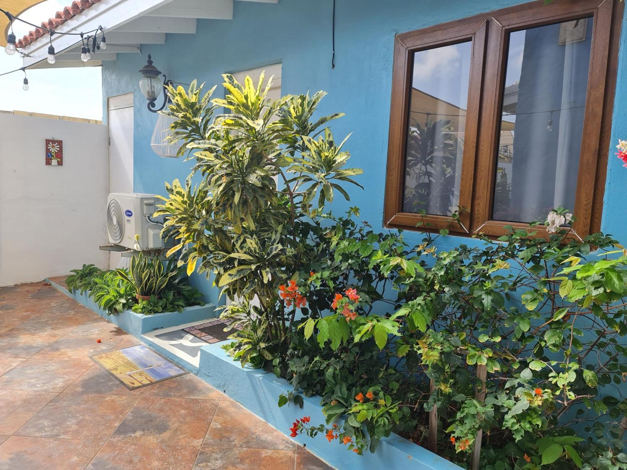 Sandcastle Beach Apartments 팜비치 외부 사진