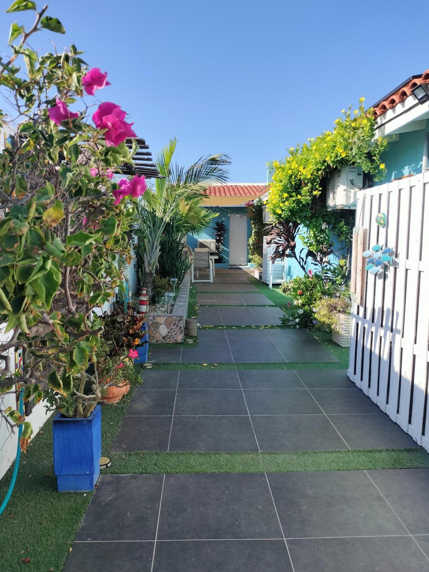 Sandcastle Beach Apartments 팜비치 외부 사진